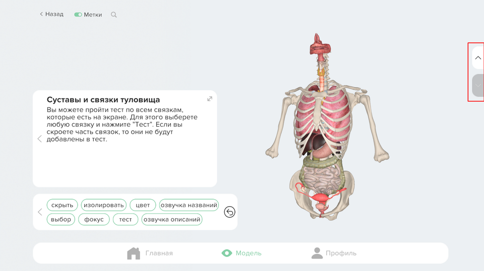 Послойное перемещение
