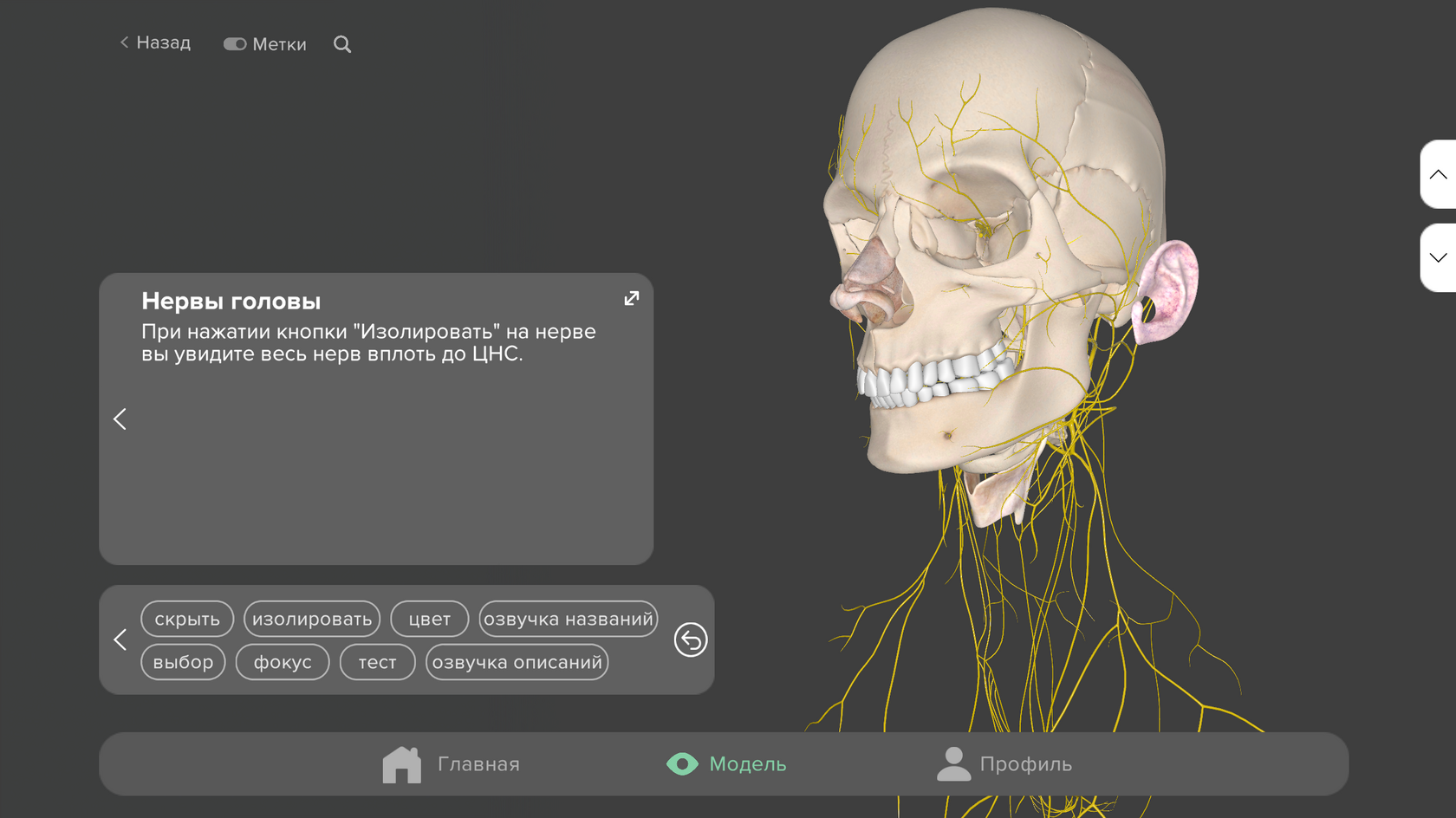 Цвет фона — тёмно-серый