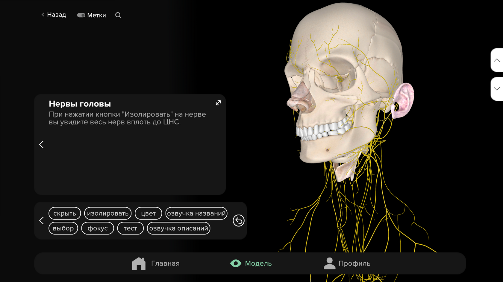 Цвет фона — чёрный
