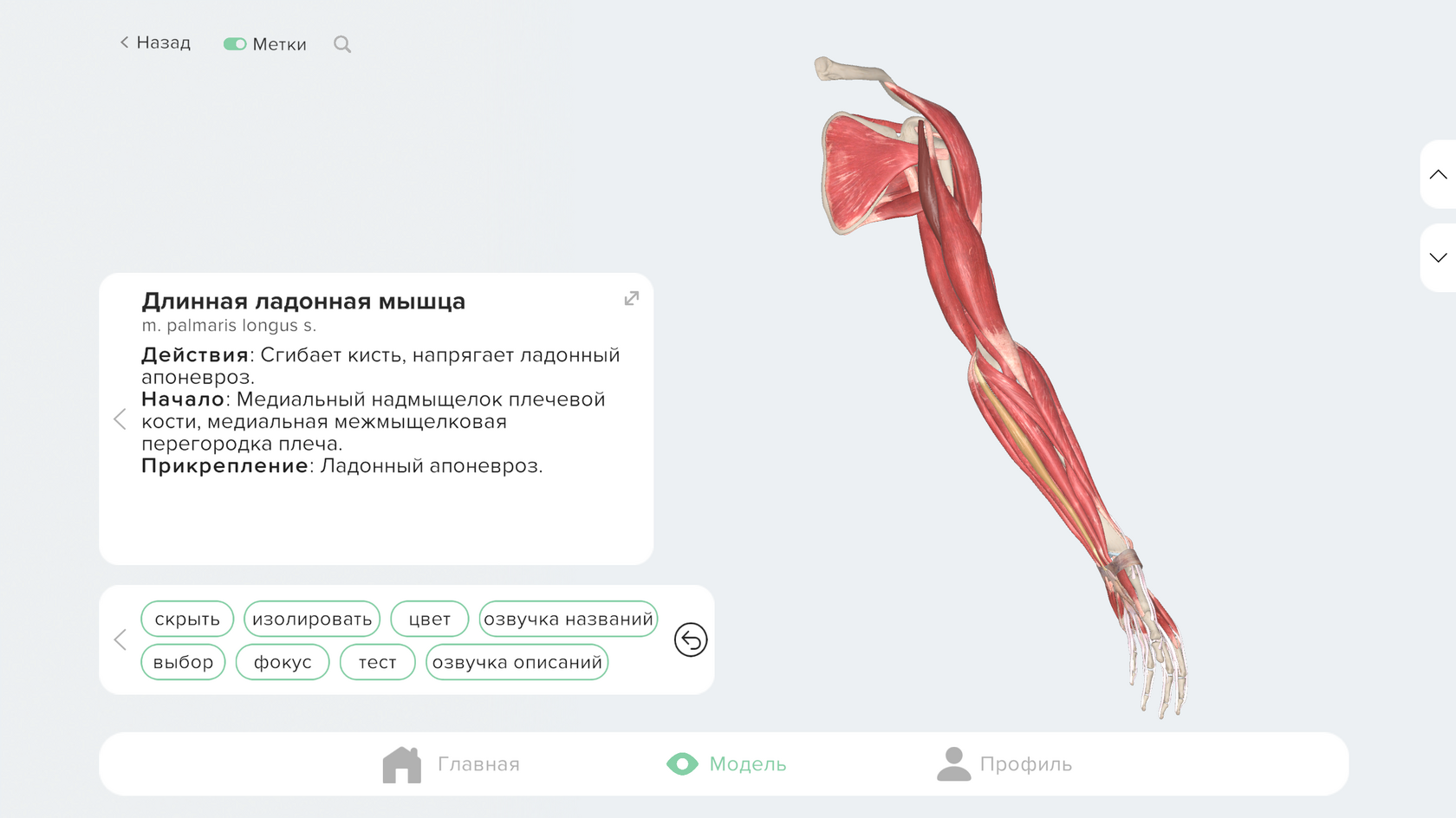 Умный выбор — включён